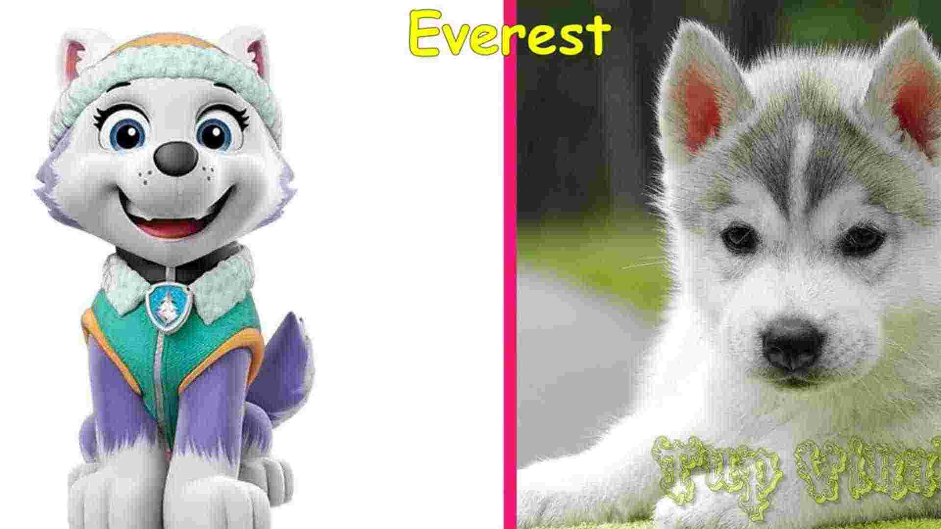 Cartoon Puppy's Spa Day img